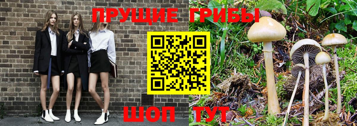 Малгобек  Вход с VPN  Гашиш  Меф   Меф  Лсд 25  Бошки Шишки  Alpha-PVP СК   COCAIN 