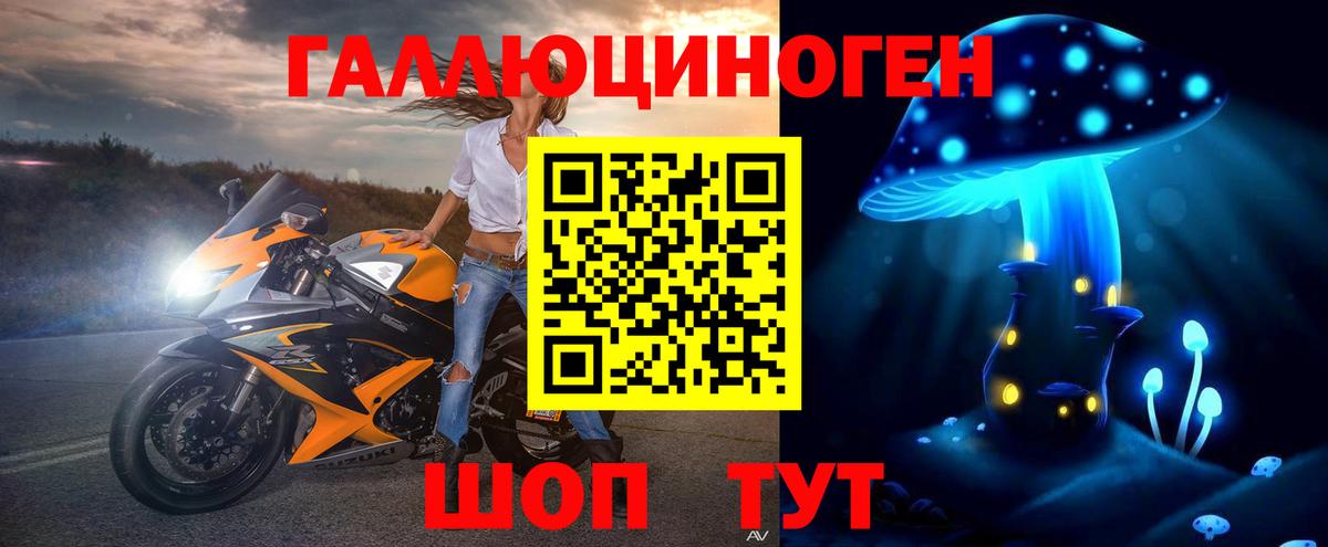 как найти наркотики  Вход с VPN  Малгобек  Псилоцибиновые грибы Psilocybe 